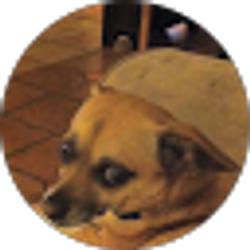 Profile photo of brian love