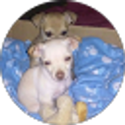 Profile photo of Just NeeNee