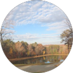 Profile photo of J Phillips