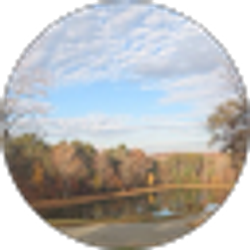 Profile photo of J Phillips