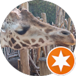 Profile photo of Zach W