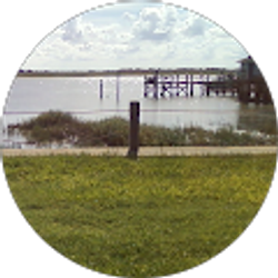 Profile photo of Tara Boogaerts