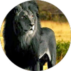 Profile photo of MASON NEAL