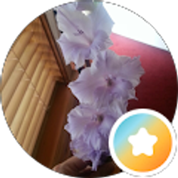 Profile photo of Sandra Stephens