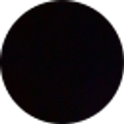 Profile photo of Joel Gallegos