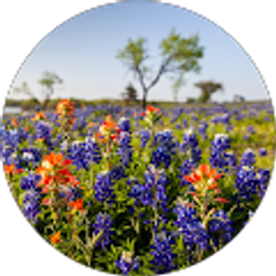 Profile photo of T D