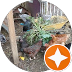 Profile photo of Randy Miller