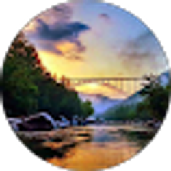 Profile photo of Dena Vance