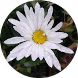 Profile photo of Lindsay Siedel