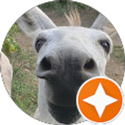 Profile photo of Chuck Coppinger