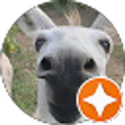 Profile photo of Chuck Coppinger