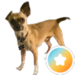 Profile photo of Amy Wiseman