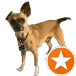 Profile photo of Amy Wiseman