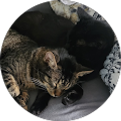 Profile photo of Phoenix Matthys