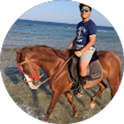Profile photo of Amr Hamid