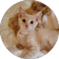 Profile photo of mercury890