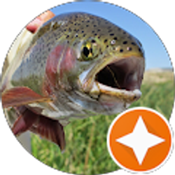 Profile photo of alan davis