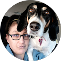 Profile photo of Sarah R Cook