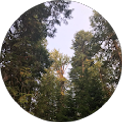 Profile photo of Abbigail Hill