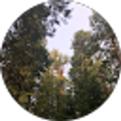 Profile photo of Abbigail Hill