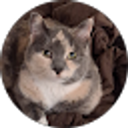 Profile photo of Colleen Boulais