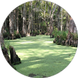 Profile photo of Blaise Ziemian