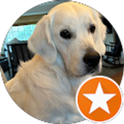 Profile photo of Tom Hussey