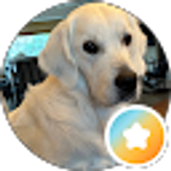 Profile photo of Tom Hussey
