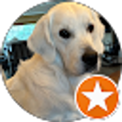 Profile photo of Tom Hussey