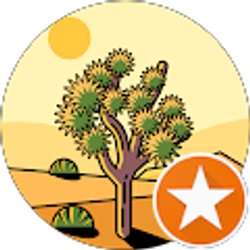 Profile photo of Cindy Kelly