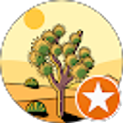 Profile photo of Cindy Kelly