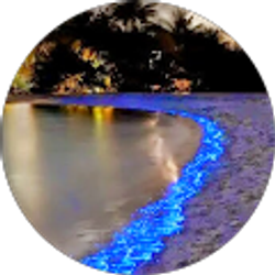 Profile photo of Estela Cunha