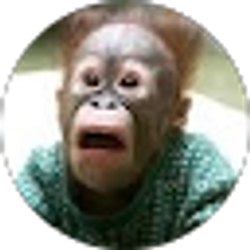 Profile photo of ddepriest45