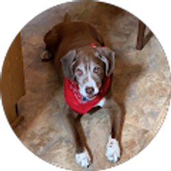 Profile photo of Aiden Greene