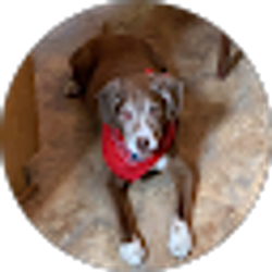 Profile photo of Aiden Greene
