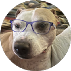 Profile photo of Sherry Byrne