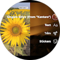 Profile photo of Diana Rizer