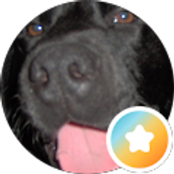 Profile photo of Forest Phillips