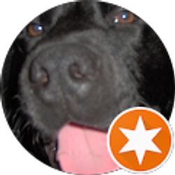 Profile photo of Forest Phillips