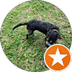 Profile photo of Haley Arellano