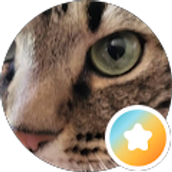 Profile photo of Tim Griffin