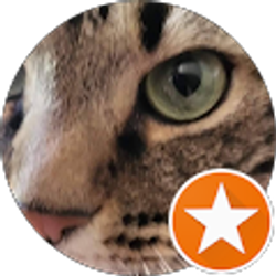 Profile photo of Tim Griffin