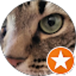 Profile photo of Tim Griffin