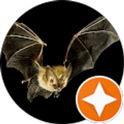 Profile photo of Beth McKinney