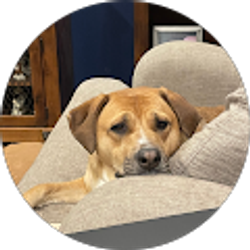 Profile photo of Jaime Burleson