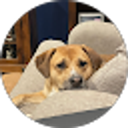 Profile photo of Jaime Burleson