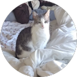 Profile photo of robert tilson