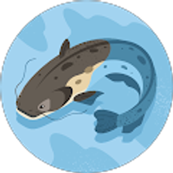 Profile photo of Kevin Hammock