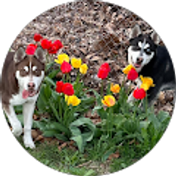 Profile photo of Hilda Rea