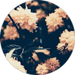 Profile photo of Emely